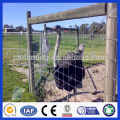 DM factory direct sale galvanized field fence